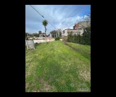 Villa con piscina e uliveto a Solicchiata