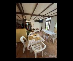 Villa con piscina e uliveto a Solicchiata - 8