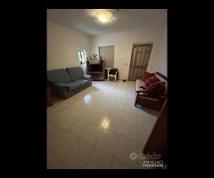 Villa con piscina e uliveto a Solicchiata - 12