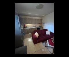 Villa con piscina e uliveto a Solicchiata - 13