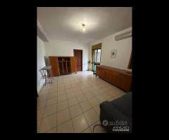 Villa con piscina e uliveto a Solicchiata - 19