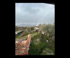 Villa con piscina e uliveto a Solicchiata - 20