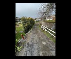 Villa con piscina e uliveto a Solicchiata - 21