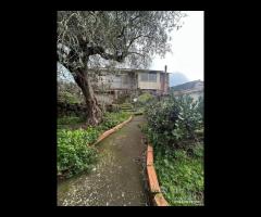 Villa con piscina e uliveto a Solicchiata - 23