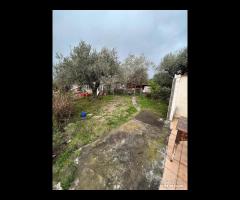 Villa con piscina e uliveto a Solicchiata - 25