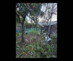 Casa singola con giardino e garage a Giarre