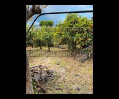 Terreno agricolo e deposito Fiumefreddo di Sicilia