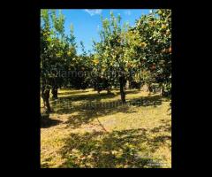 Terreno agricolo e deposito Fiumefreddo di Sicilia