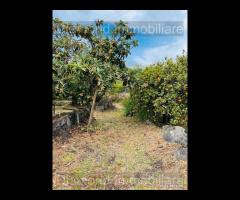Terreno agricolo e deposito Fiumefreddo di Sicilia