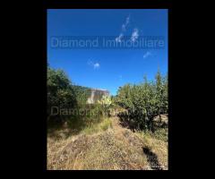 Terreno agricolo e rudere San Giovanni Montebello