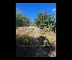 Terreno agricolo e rudere San Giovanni Montebello