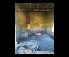 Terreno agricolo e rudere San Giovanni Montebello - 6