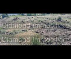 Palmento con 1,3 ettari di terreno a Linguaglossa