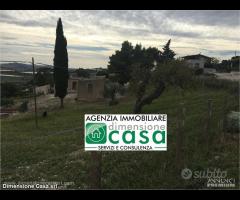 Rif.AG13|Azienda agricola Caltanissetta