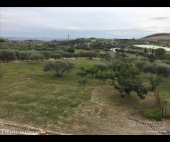 Rif.AG13|Azienda agricola Caltanissetta