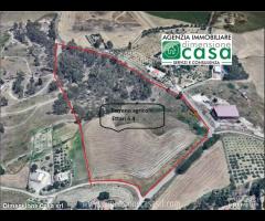 Rif.TA66|Terreno agricolo Caltanissetta