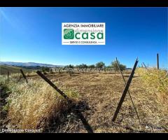 Rif.TA41|Terreno agricolo Caltanissetta