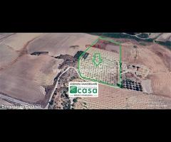 Rif.TA67|Terreno agricolo Caltanissetta