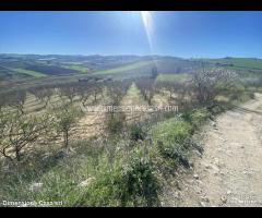 Rif.TA67|Terreno agricolo Caltanissetta