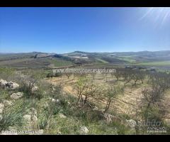 Rif.TA67|Terreno agricolo Caltanissetta