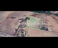 Rif.TA67|Terreno agricolo Caltanissetta - 6