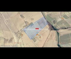 Rif.TA67|Terreno agricolo Caltanissetta - 7