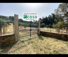 Rif.TA42|Terreno agricolo Caltanissetta