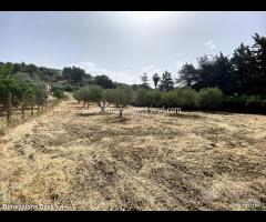 Rif.TA42|Terreno agricolo Caltanissetta