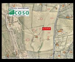 Rif.TA74|Terreno agricolo Caltanissetta