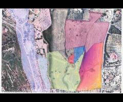 Rif.TA74|Terreno agricolo Caltanissetta
