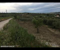 Rif.TA22|Terreno agricolo San Cataldo
