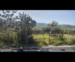 Rif.TA61|Terreno agricolo Caltanissetta