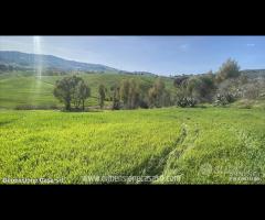 Rif.TA61|Terreno agricolo Caltanissetta