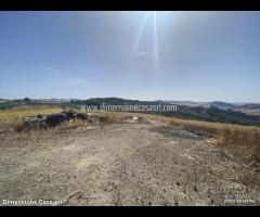 Rif.AG16|Azienda agricola Caltanissetta - 5