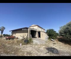 Rif.AG16|Azienda agricola Caltanissetta - 7