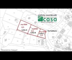 Rif.TA62|Terreno agricolo San Cataldo - 1