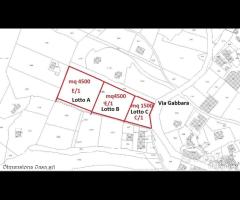 Rif.TA62|Terreno agricolo San Cataldo - 3