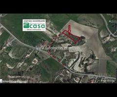 Rif.TA55|Terreno agricolo San Cataldo - 1