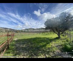 Rif.TA55|Terreno agricolo San Cataldo - 2