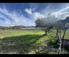 Rif.TA55|Terreno agricolo San Cataldo - 3