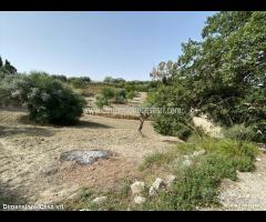 Rif.TA65|Terreno agricolo Caltanissetta - 2