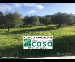 Rif.TA39|Terreno agricolo Caltanissetta - 1