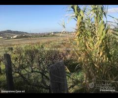 Rif.TA39|Terreno agricolo Caltanissetta - 5