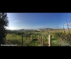 Rif.TA39|Terreno agricolo Caltanissetta - 7