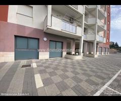 Rif.AL23|Attività e Licenze San Cataldo - 4