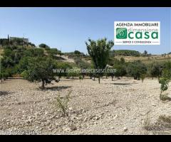 Rif.TA50|Terreno agricolo Serradifalco