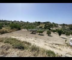 Rif.TA50|Terreno agricolo Serradifalco