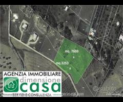 Rif.TA51|Terreno agricolo San Cataldo