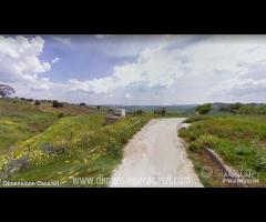 Rif.TA49|Terreno agricolo Serradifalco