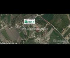 Rif.TA53|Terreno agricolo Caltanissetta